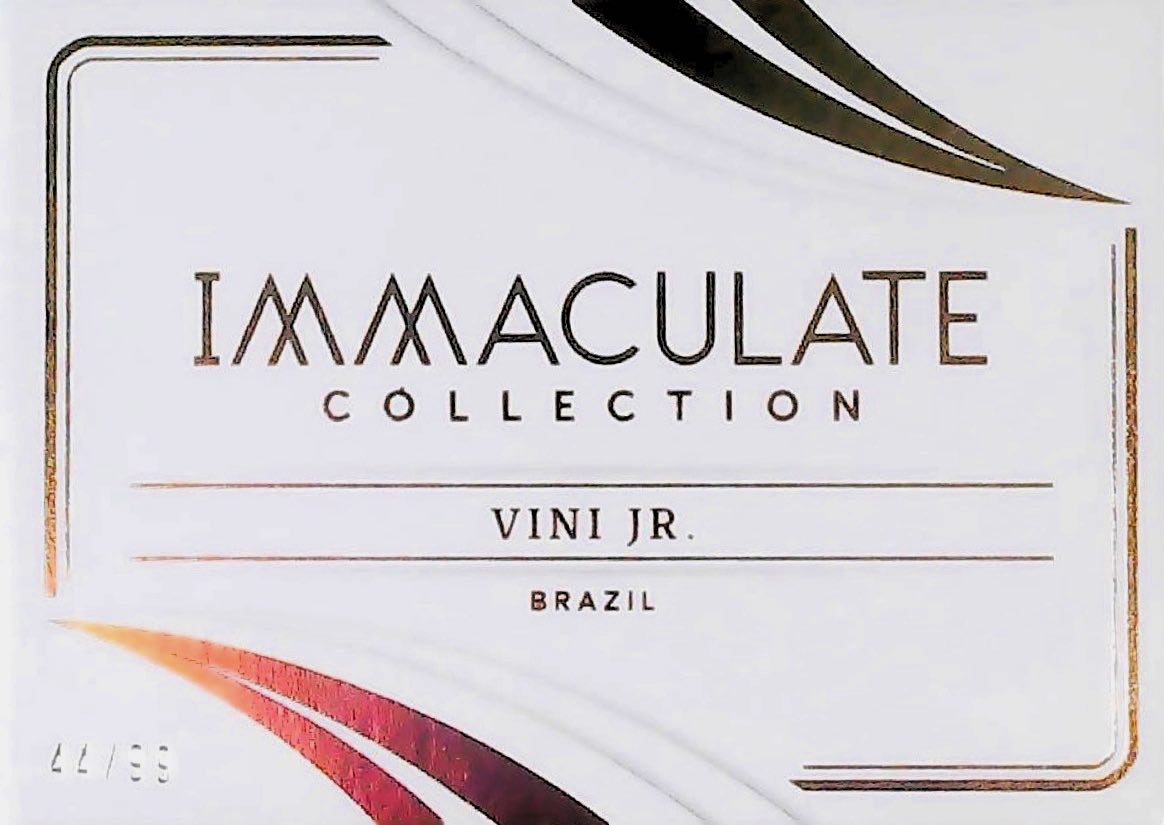 Vini.Jr Booklet Immaculate /99 Auto/Patch