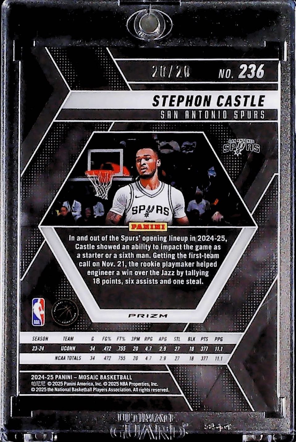 Stephon Castle Mosaic /20